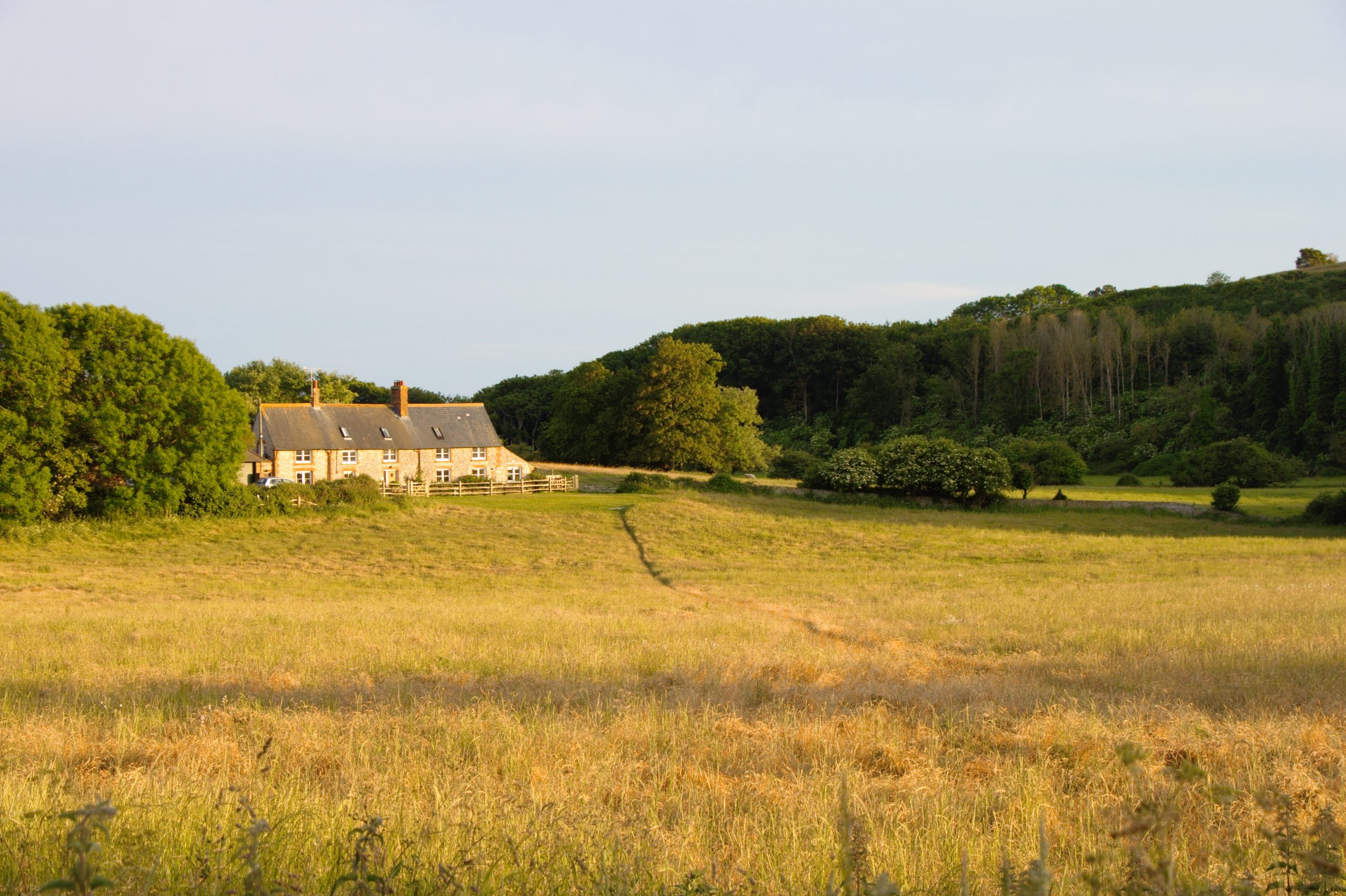 Dry meadow and old English houses in the countryside of South England