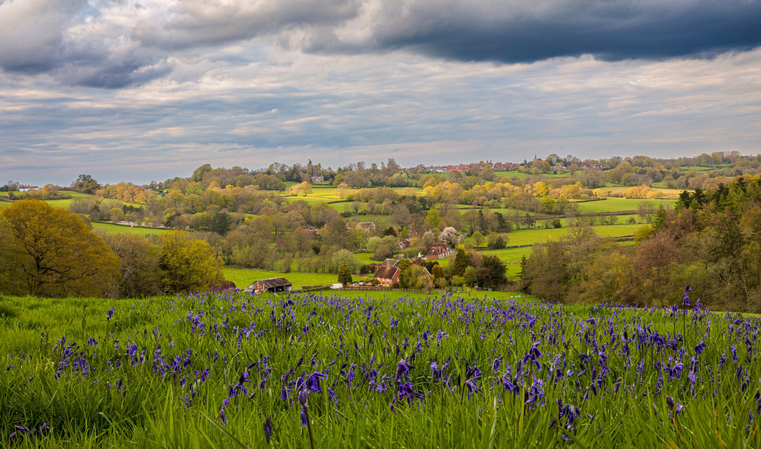 Countryside field