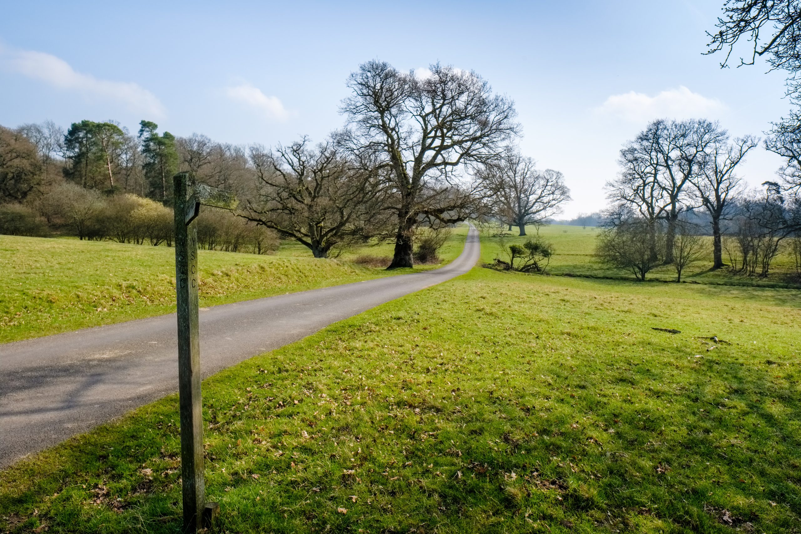 Road through the Knepp Castle Estate