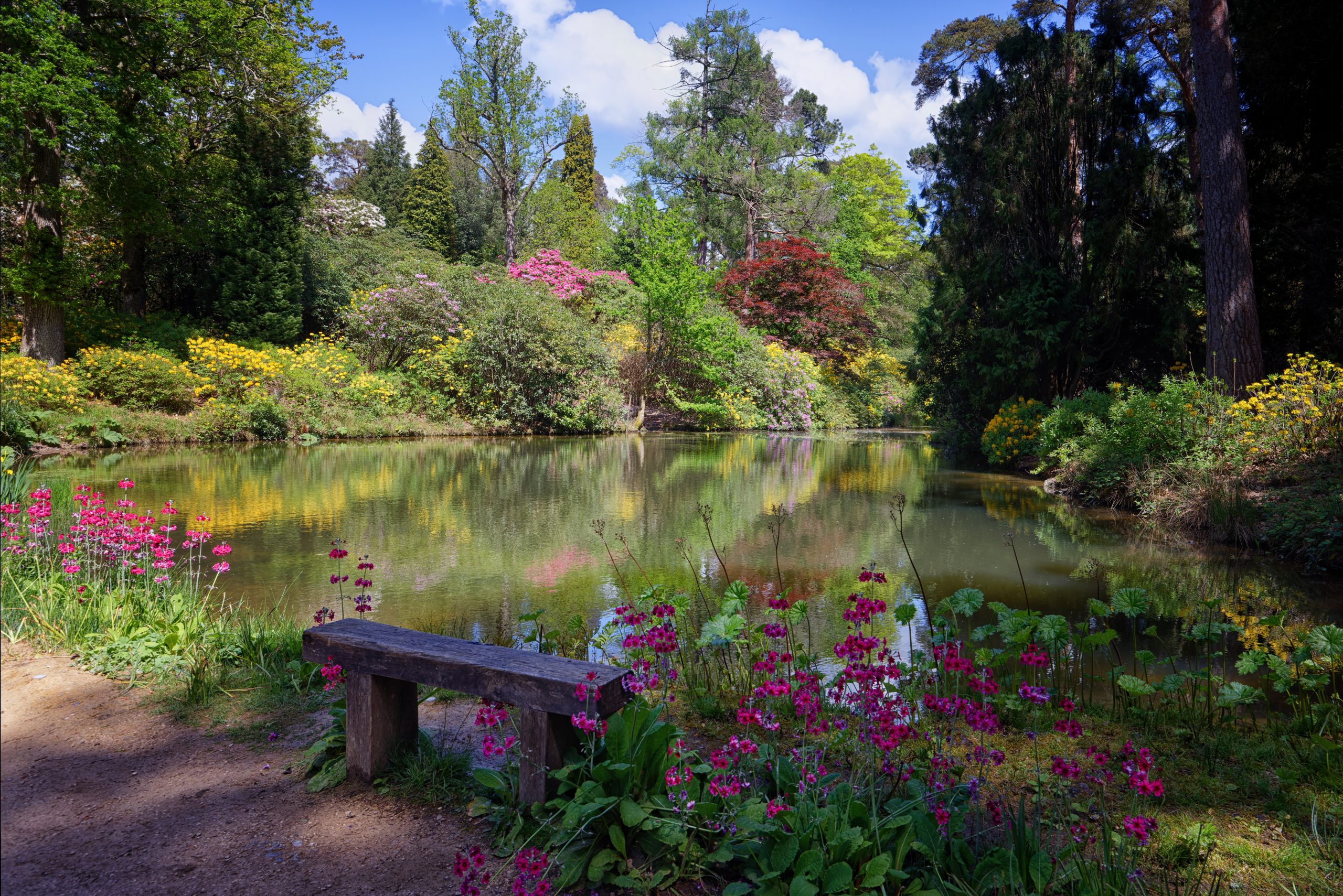 A seat by the lake at Leonardslee Lakes and Gardens Sussex UK