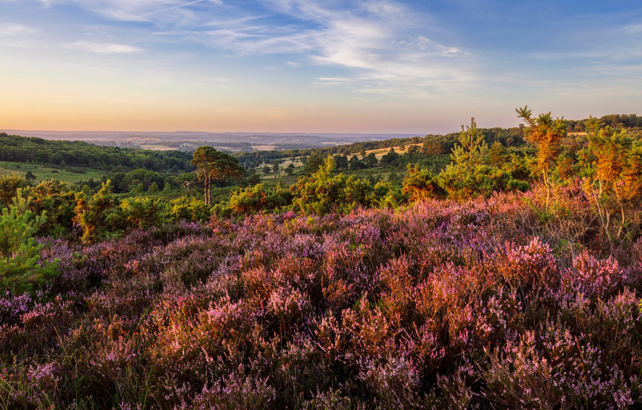 Landscape view od british countryside