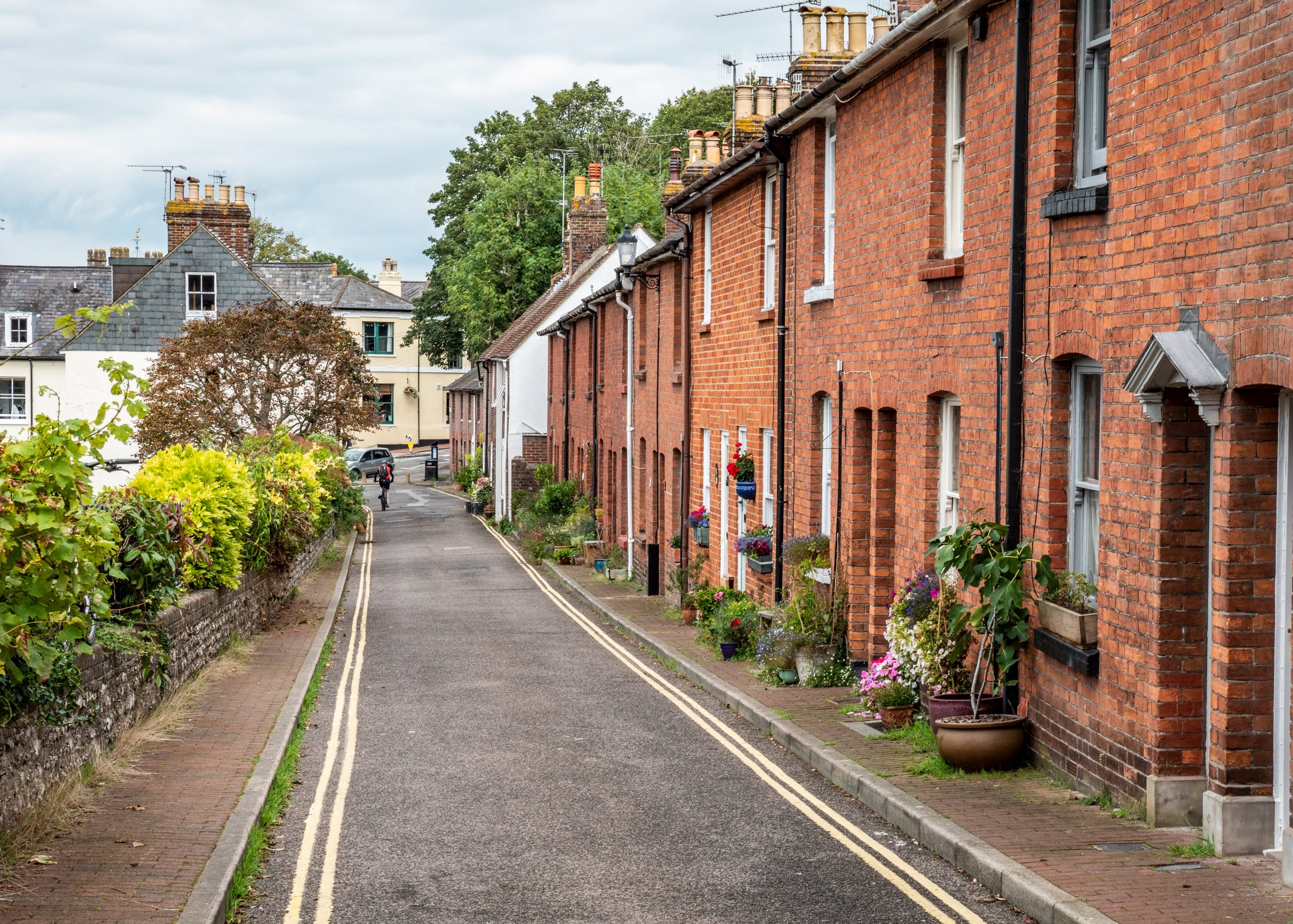 Traditional terraced houses in the green backstreets