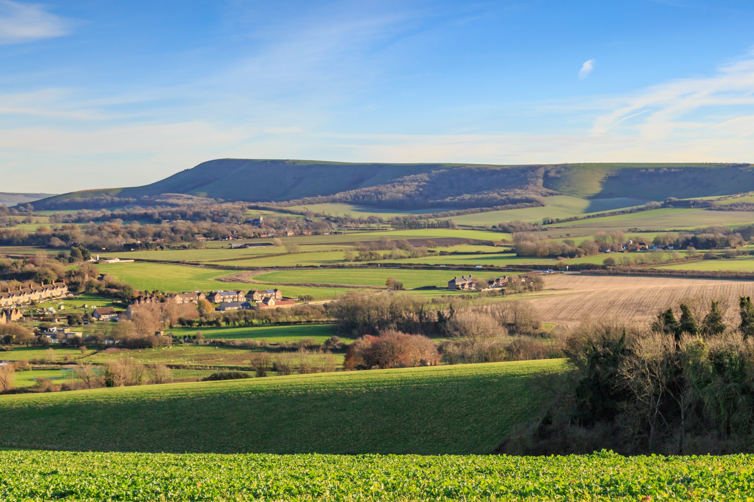 The View Towards Firle Beacon
