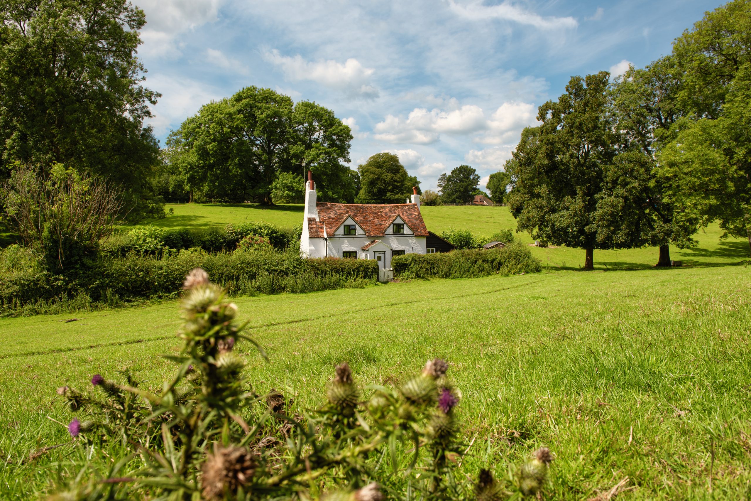 English traditional cottage in the countryside